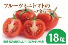 【先行予約】フルーツミニトマトの宝石箱 18粒（茨城県共通返礼品：つくばみらい市産）※2026年1月上旬～3月下旬頃に順次発送予定（CD090）