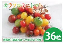 【先行予約】カラフルミニトマトの宝石箱 36粒（茨城県共通返礼品：つくばみらい市産）※2026年1月上旬～3月下旬頃に順次発送予定（CD093）