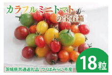 【先行予約】カラフルミニトマトの宝石箱 18粒（茨城県共通返礼品：つくばみらい市産）※2026年1月上旬～3月下旬頃に順次発送予定（CD092）