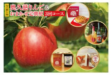 【10月より発送開始】【旬の贈り物】奥久慈りんごとおまかせ定期便（3回コース）｜茨城県 大子町 林檎 果物 フルーツ 旬 季節限定 数量限定 アップルパイ シードル スパークリング 酢 グラッセ ジャム お菓子 ミックス(BJ004)