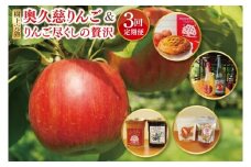 【藤田観光りんご園】樹上完熟の奥久慈りんごとりんご尽くしの贅沢３回定期便【10月より発送開始】【お菓子・お酒・自家製の加工品】【旬の贈り物】｜茨城県 大子町 林檎 果物 フルーツ 旬 季節限定 数量限定 アップルパイ シードル スパークリング 酢 グラッセ ジャム お菓子 ミックス(BJ004)