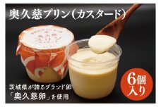【お中元】奥久慈プリン（カスタード）6個入り　茨城県が誇るブランド卵である奥久慈卵を使用【お中元 贈答 贈り物 包装 プレゼント 指定日 日時指定 熨斗 のし】（BF019）