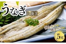 うなぎ白焼き（割き立て・焼き立て）５尾