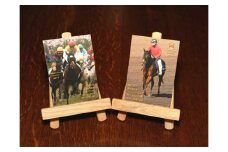 美浦村限定 G1馬ポストカード セイウンコウセイ(ゆるキャラみほーす入り)