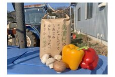 美浦村のマッシュとパプでしみじみカレーつくったべ