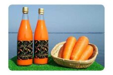 カロテンたっぷりの健康・濃厚100%にんじんジュース720ml 2本