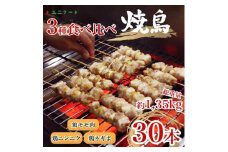 UF11 国産 焼き鳥 ３種３０本セット 鶏肉 個包装 ねぎま にんにく 鶏もも 砂肝 おつまみ バーベキュー BBQ アウトドア 冷凍　高品質　真空