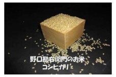 【7年産】野口勘右衛門のお米「安心栽培米（コシヒカリ）」玄米20kg(10kg×2)