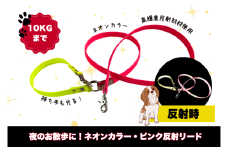 『ネオンカラー（ピンク）』反射材の光る犬用リード【小型犬用10キロまで】【散歩 愛犬 夜散歩 手作り 阿見町 茨城県】【散歩 愛犬 夜散歩 手作り 阿見町 茨城県】（40-26）