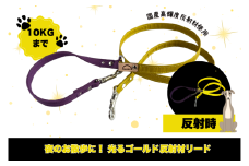 『ゴールド』反射材の光る犬用リード【小型犬用10キロまで】【散歩 愛犬 夜散歩 手作り 阿見町 茨城県】（40-29）