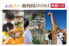 ふれあい動物園ANIMA 年間パス【動物 どうぶつ 動物園 チケット 年間パスポート 阿見町 茨城県】（61-01） 
