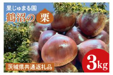 【茨城県共通返礼品】【先行予約】石岡市産鶴沼の生栗3kg（2025年9月中旬以降発送）【くり 栗 旬 くだもの 果物 無農薬 ほくほく茨城県 30000円以内 】(46-03 )