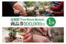 商品券【盆栽体験ワークショップ参加及び樹木、鉢等の関連商品購入に利用】【盆栽 ワークショップ 阿見町 茨城県】（64-01）