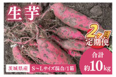 【2ヶ月定期便】生芋10㎏　S~Lサイズ混合　1箱【芋 さつまいも サツマイモ  阿見町 茨城県】（56-15）