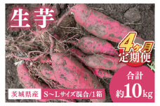 【4ヶ月定期便】生芋10㎏　S~Lサイズ混合　1箱【芋 さつまいも サツマイモ  阿見町 茨城県】（56-17）