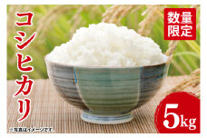 【先行予約】【10月中旬より発送】コシヒカリ5kg【令和7年産新米】【米 おこめ こしひかり 農家直送 直送 茨城県 阿見町】（67-01-1）