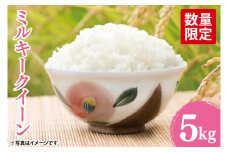 【先行予約】【10月中旬より発送】ミルキークイーン5kg【令和7年産新米】【米 おこめ こしひかり 農家直送 直送 茨城県 阿見町】（67-02-1）