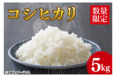 【10月中旬より発送】コシヒカリ5kg【令和7年産新米】【米 おこめ こしひかり 農家直送 直送 茨城県 阿見町】（68-01）
