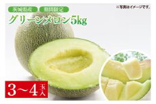 【先行予約】グリーンメロン5㎏（ 3玉入又は4玉入）【山崎農園】（2025年5月下旬～6月中旬頃にお届け）【フルーツ 果物 くだもの 甘い おいしい メロン 茨城県 阿見町】（70-02-1）