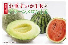 【先行予約】グリーンメロン1玉＆小玉西瓜1玉セット【山崎農園】（2025年5月下旬～6月下旬頃にお届け）【スイカ 1玉 すいか 西瓜 フルーツ 果物 くだもの 甘い おいしい メロン 茨城県 阿見町】（70-03-1）