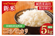 【先行予約】10月中旬から配送【令和7年産新米】「茨城県産 茨城県産米」コシヒカリ精米5㎏【お米 白米 コシヒカリ こしひかり 茨城県産】(72-01)