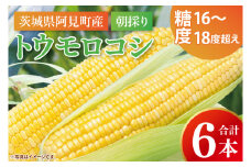 【先行予約 6月下旬から順次配送】トウモロコシ6本入　黄6入【新鮮 野菜 甘い とうもろこし 玉蜀黍 茨城県 阿見町産】(73-01)