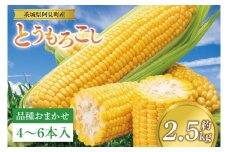 【先行予約 6月中旬から順次配送】とうもろこし　4本～6本入り（約2.5kg）【野菜 甘い トウモロコシ 玉蜀黍 茨城県 阿見町産】(76-05)
