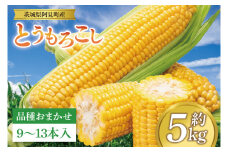 【先行予約 6月中旬から順次配送】とうもろこし　9本～13本入り（約5kg）【野菜 甘い トウモロコシ 玉蜀黍 茨城県 阿見町産】(76-06)