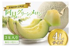【先行予約 6月中旬から順次配送】メロン　阿見グリーンメロン　4Ｌサイズ（3玉入り）（化粧箱）【果物 甘い めろん 茨城県 阿見町産】(76-04)