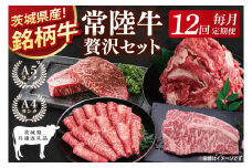 【茨城県共通返礼品】【12回定期便】最高級A4.5ランク常陸牛 贅沢セット【銘柄牛 牛肉 冷凍 たんぱく質 スライス ステーキ すき焼き しゃぶしゃぶ 切り落とし 茨城県産】(81-14)