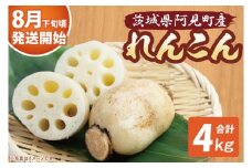 【先行予約】【8月下旬より発送】れんこん4kg【絶品 蓮根 レンコン 高級感 茨城県産 茨城県 阿見町】(89-02)