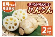 【先行予約】【8月下旬より発送】れんこん2kg【絶品 蓮根 レンコン 高級感 茨城県産 茨城県 阿見町】(89-01)