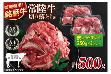 【茨城県共通返礼品】常陸牛切り落とし 500g【使いやすい 小分け 250g×2 銘柄牛 牛肉 冷凍 たんぱく質 ビタミン 茨城県産】(81-15)