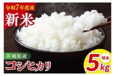 【先行予約】令和7年産 茨城県産コシヒカリ　精米　5kg【お米 米 こしひかり ごはん 茨城県】（85-11）