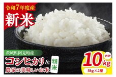 【10月中旬から発送】【先行予約】【令和7年産新米】阿見町産　精米　食べ比べ　（コシヒカリ　美味しいお米）　各5kg【お米 米 こしひかり ごはん 食べ比べ 茨城県】（85-65）