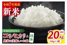【10月中旬から発送】【先行予約】【令和7年産新米】阿見町産　精米　食べ比べ　（コシヒカリ　美味しいお米）　各10kg（5kg×2）【お米 米 こしひかり ごはん 食べ比べ 茨城県】（85-66）