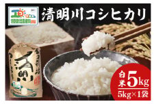【先行予約】新米令和7年産 茨城県特別栽培認証 清明川コシヒカリ白米5kg【米 おこめ こしひかり  特別栽培米 農家直送 直送 茨城県 阿見町】(04-01-1)