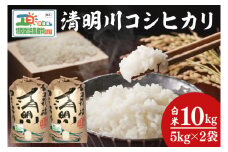 【先行予約】新米令和7年産茨城県特別栽培認証 清明川コシヒカリ白米5kg×2袋　米 おこめ こしひかり  特別栽培米 農家直送 直送 茨城県 阿見町（04-02-1）