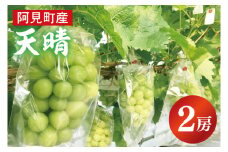 【先行予約9月中旬発送】天晴（あっぱれ）2房【シャインマスカット 天山 葡萄 ぶどう ブドウ 果物 フルーツ】（07-01）