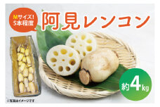 20-01 阿見レンコン（Mサイズ 5本程度 約4kg）【れんこん 蓮根 肉厚 しゃきしゃき 煮物 きんぴら】