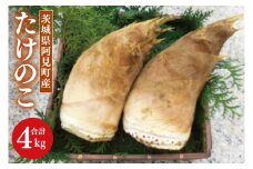 【2025年4月発送】茨城県阿見町産たけのこ4kg【筍 たけのこ 孟宗竹】タケノコ（25-01）