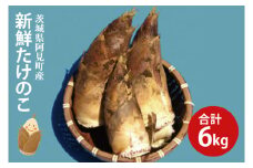 23-01 【先行予約】【令和7年4月初旬発送】茨城県阿見町産たけのこ6kg【たけのこ タケノコ 孟宗竹 モウソウチク 無農薬 掘りたて】
