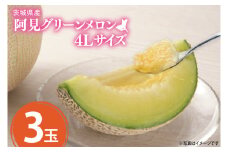【先行予約】【2025年6月下旬より順次発送】茨城県産阿見グリーンメロン5kg(3玉)【秀品4L】【JA水郷つくば】【フルーツ 果物 くだもの 甘い おいしい メロン 茨城県 阿見町】(20-03)