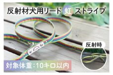 『虹ストライプ柄』オリジナル反射材の光る犬用リード【小型犬10kg用】【散歩 愛犬 夜散歩 阿見町 茨城県】(40-03)