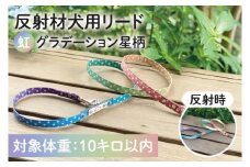 オリジナル反射材の犬用リード（虹グラデーション星柄）【10kg用】【散歩 愛犬 夜散歩 阿見町 茨城県】(40-04)