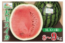 【先行予約】茨城県産大玉スイカ3Lサイズ（8～9kg）【大地のめぐみ】（2025年6月中旬～6月下旬頃にお届け）【茨城県 阿見町 スイカ 1玉 すいか 西瓜 果物 くだもの フルーツ 国産 甘い 送料無料】（04-25）