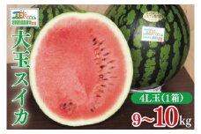 【先行予約】茨城県産大玉スイカ4Lサイズ（9～10kg）【大地のめぐみ】（2025年6月中旬～6月下旬頃にお届け）【茨城県 阿見町 スイカ 1玉 すいか 西瓜 果物 くだもの フルーツ 国産 甘い 送料無料】（04-26）