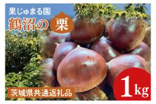 【茨城県共通返礼品】【先行予約】石岡市産鶴沼の生栗1kg（2025年9月中旬以降発送）【くり 栗 旬 くだもの 果物 無農薬 ほくほく茨城県 10000円以内 1万円以内】(46-02 )