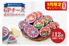 【9月限定価格】雪印メグミルク・6Pチーズ詰め合わせセット（12品）【6Pチーズ スライスチーズ クリームチーズ 粉チーズ カルシウム 鉄分】02-05-A