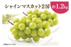 49-02  【先行予約】【2025年10月以降発送】シャインマスカット2房（約1.2kg）【マスカット ぶどう ブドウ 葡萄 フルーツ 果物 阿見町 茨城県】